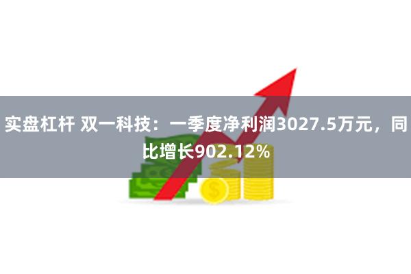 实盘杠杆 双一科技：一季度净利润3027.5万元，同比增长902.12%