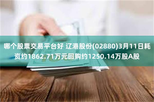 哪个股票交易平台好 辽港股份(02880)3月11日耗资约1862.71万元回购约1250.14万股A股