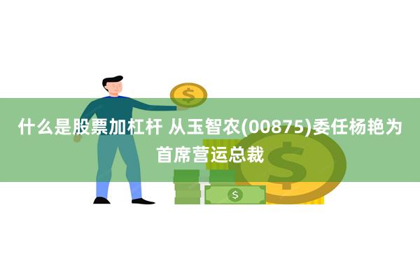什么是股票加杠杆 从玉智农(00875)委任杨艳为首席营运总裁