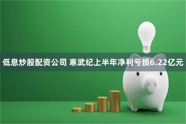 低息炒股配资公司 寒武纪上半年净利亏损6.22亿元