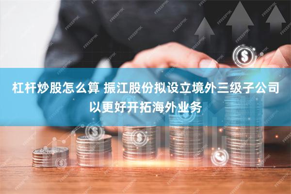 杠杆炒股怎么算 振江股份拟设立境外三级子公司以更好开拓海外业务
